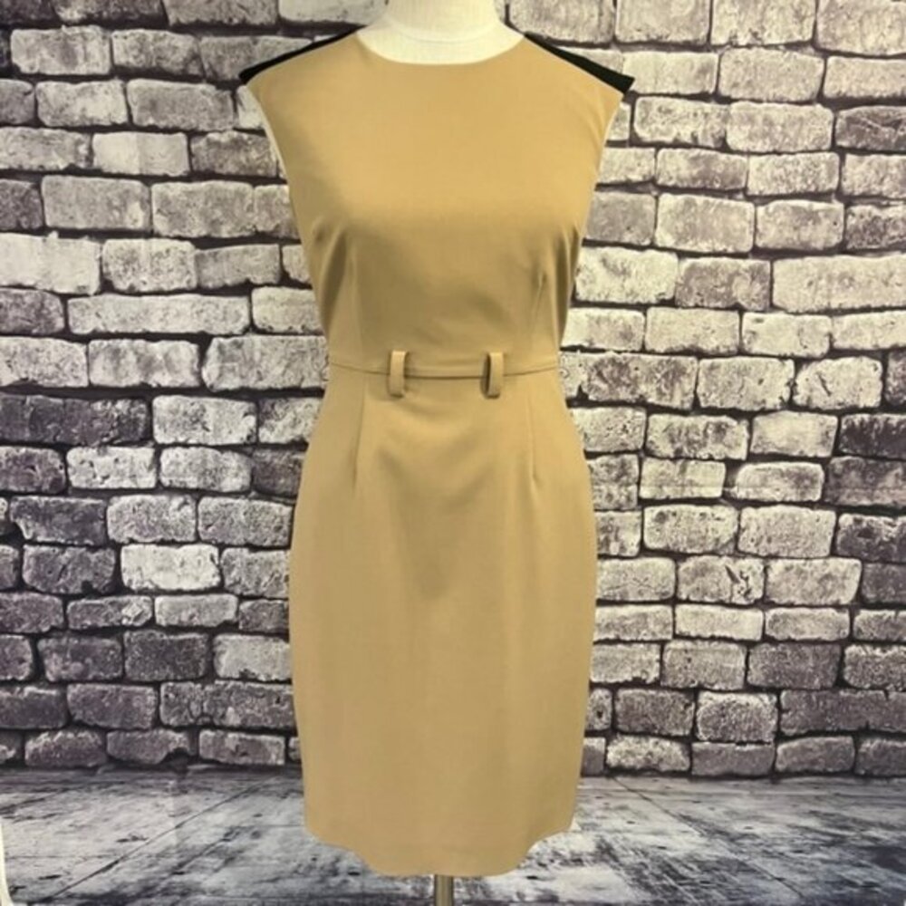 Calvin Klein Khaki & Black Fully Lined Sleeveless Dress Size 4